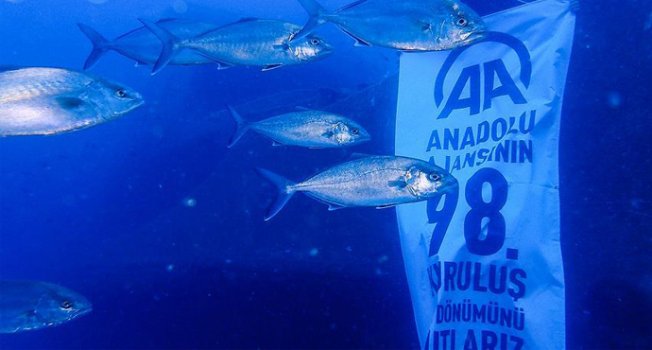 Anadolu Ajansının kuruluşunu su altında kutladılar