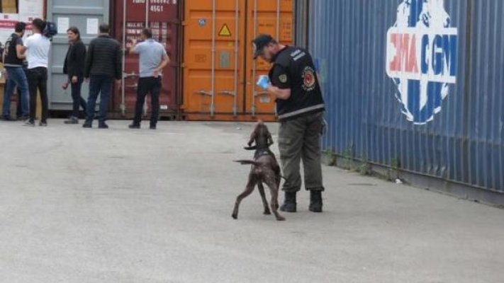 Dubai&#039;den gelen gemiden 2 milyon 500 bin paket kaçak sigara çıktı