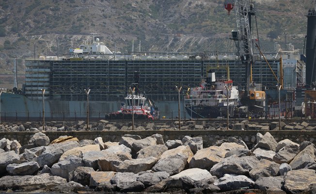 Güney Amerika&#039;dan ithal edilen 20 bin Angusu taşıyan gemi Hatay&#039;a geldi