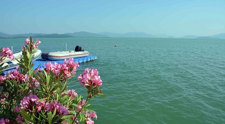 Köyceğiz Gölü turkuaz rengiyle büyülüyor