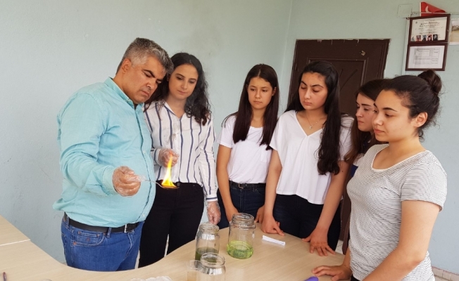 Su yosunundan mazot ürettiler