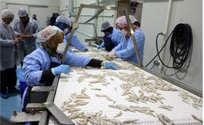 Türkiye'de Rağbet Görmüyor, Avrupa'da Yok Satıyor