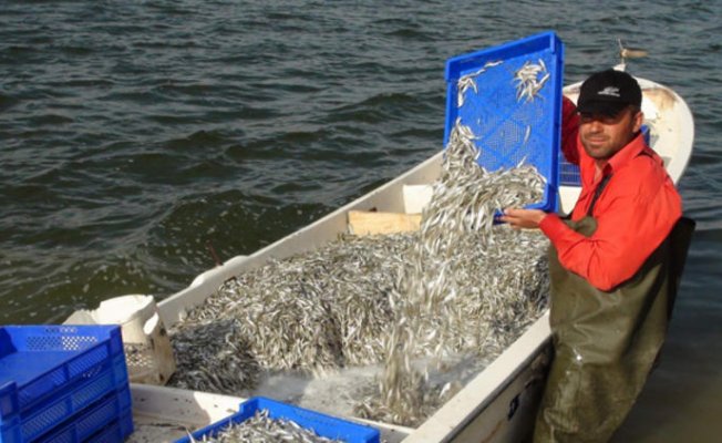 Ahmet Eşref Fakıbaba: Göl ve göletlere 5 milyon yavru balık bırakacağız