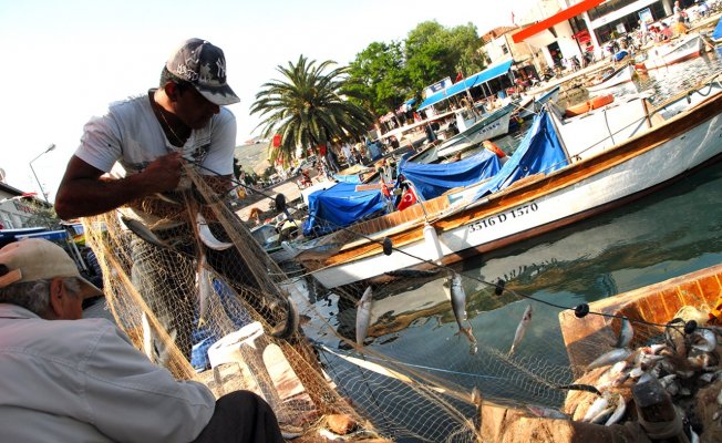 Foça&#039;da sürdürülebilir balıkçılık projesi