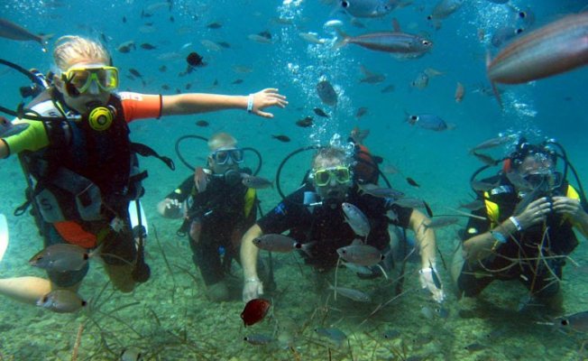 Antalya'nın sualtı zenginlikleri dalış tutkunlarını bekliyor