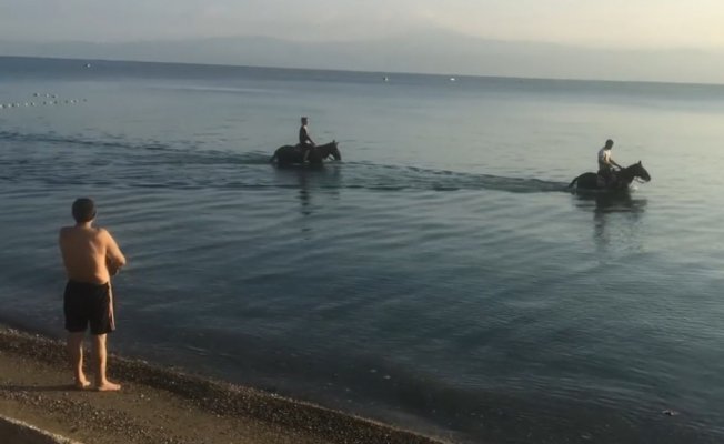 Atları denize sokup serinlettiler