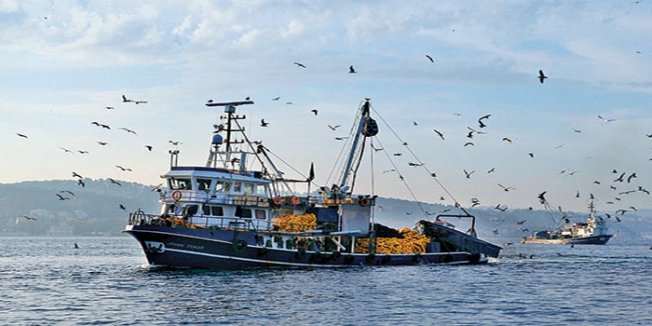 Balıkçılardan müjde, denizde bu yıl balık çok