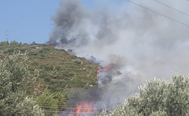 Bodrum’da yangın sonrası korkunç manzara