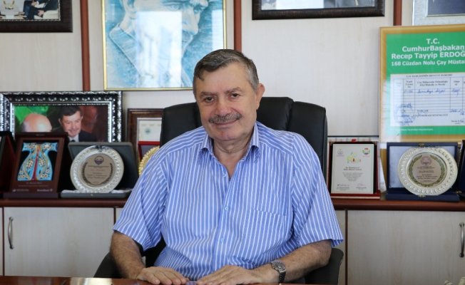 Doğu Karadeniz’i istila eden ‘vampir kelebek’ ile mücadele sürüyor