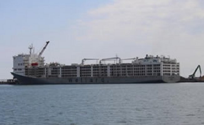 Samsunlu esnaf, "Gemi bir daha gelirse limana yürürüz"