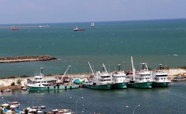 "Balık av yasakları Gürcistan'a yaradı"