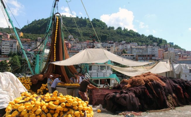 Balıkçılara göre ’palamut yüz güldürecek’