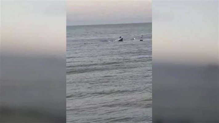 Beylikdüzü’nde tekne battı: 5 kişi kurtarıldı, 1 kişi kayıp