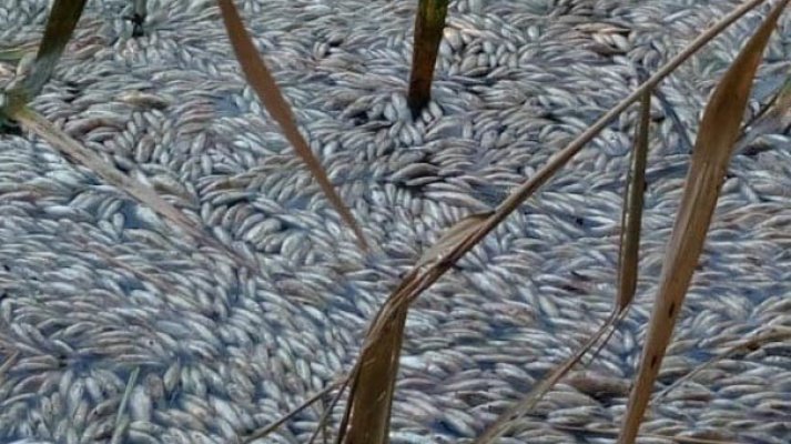 Bu şoke eden görüntü Manisa'dan!