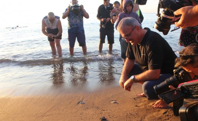 Caretta carettalar denizle buluştu