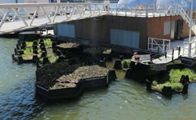 Denizlerdeki çöplerden geri dönüşüm parkı yaptılar