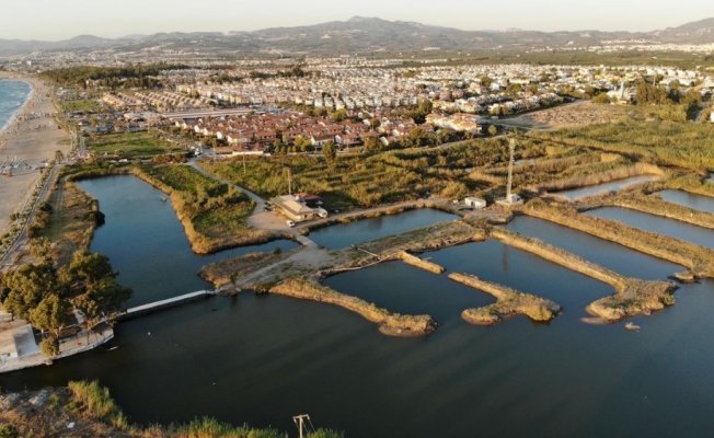 Kuşadası’nda ’Kocagöl’ alarmı