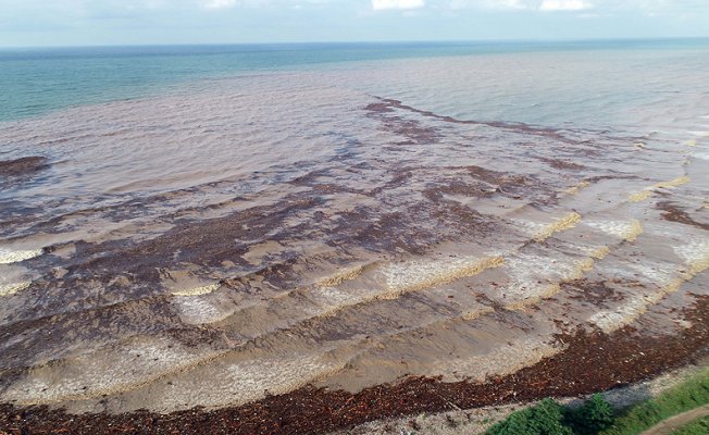 Ordu'daki selde bin 100 ton fındık zarar gördü