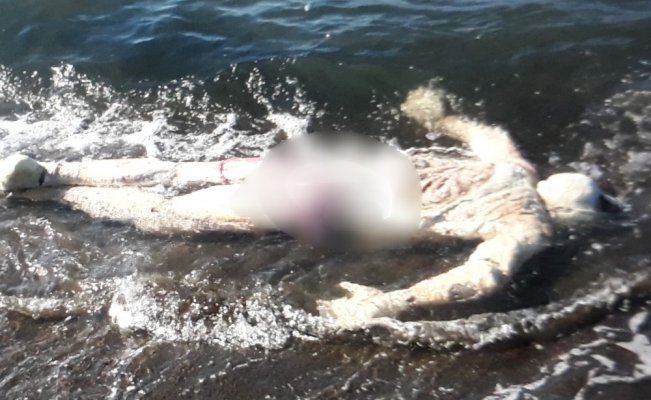 Samsun’da denizde ceset bulundu