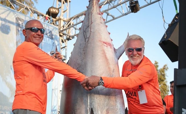 Dev balık dünyayı Teos Marina’ya topladı