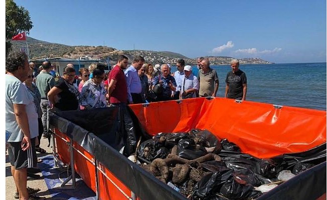 Foça'daki kirliliğe bilirkişi incelemesi