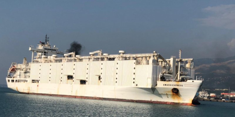 İskenderun Limanı&#039;na getirilen 21 bin ithal hayvan çiftliklere dağıtılacak