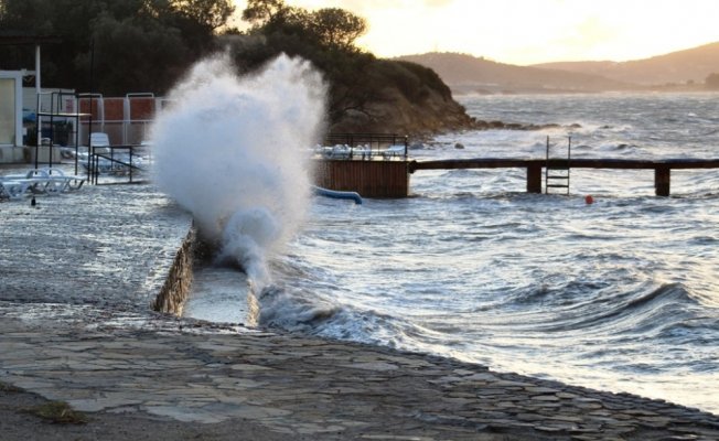 ’Kestane Karası’ rüzgarı hayatı olumsuz yönde etkiliyor