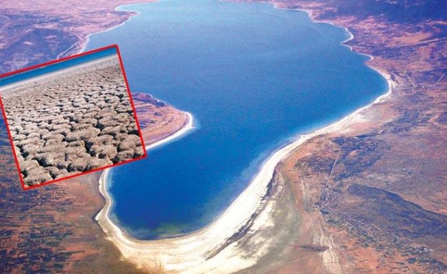 Koca gölü öldürdük