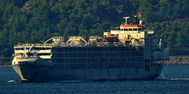 Şarbon iddialarıyla gündeme gelmişti, boğazdan geçti