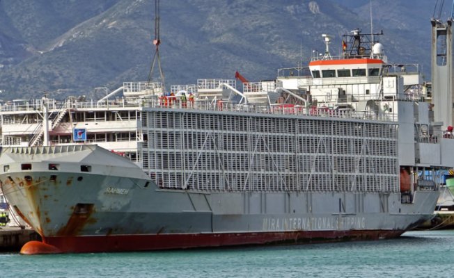 Şarbonlu hayvan taşıdığı iddia edilen gemiden haber var!