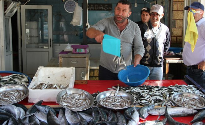 Arhavi'de Tezgahlar Palamutla Doldu