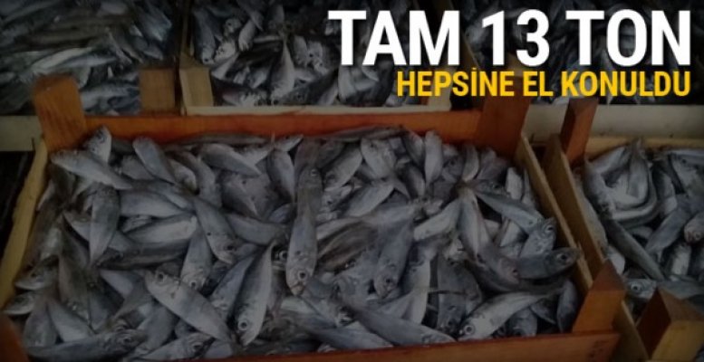 Bursa&#039;da 13 ton balığa el konuldu