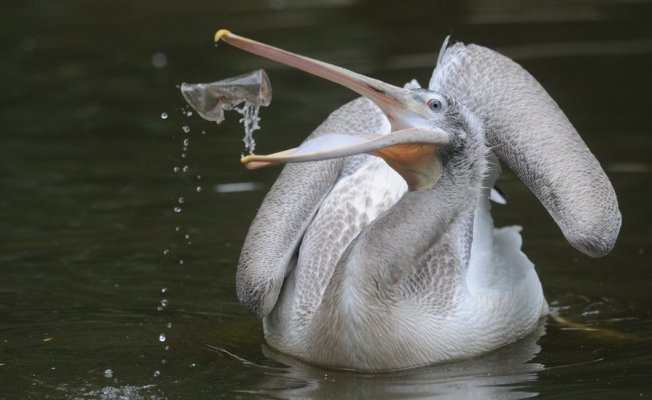 Denizler ve okyanuslarda en çok plastik kirliliği yaratan şirketler hangileri?