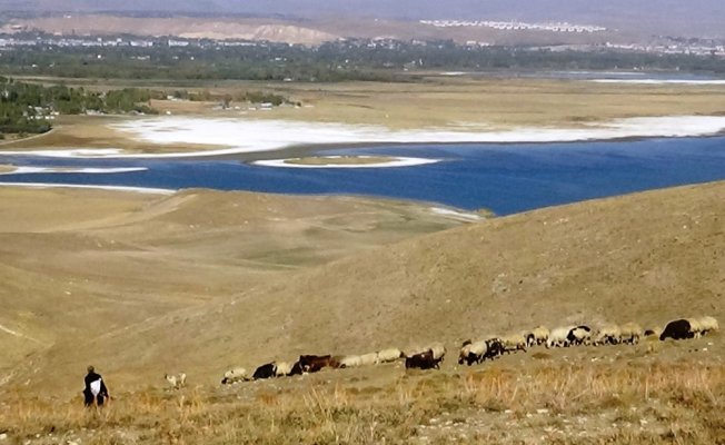 Sular çekilince adacık ortaya çıktı