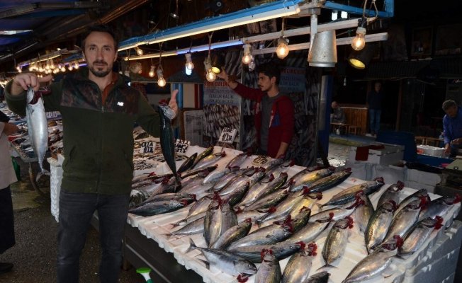 Tekneler de tezgahlar da palamutla dolu