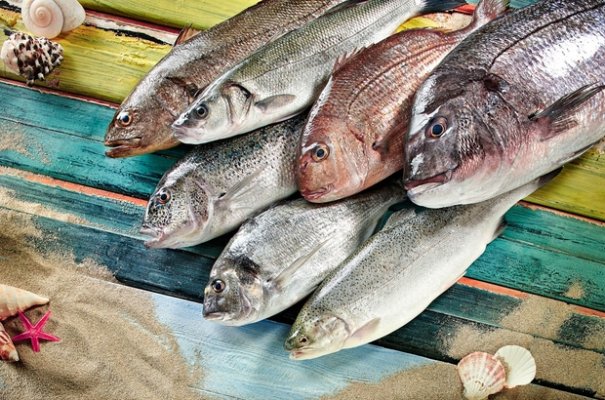 Türk su ürünleri sektörü ABD’de lezzet şovu yaptı