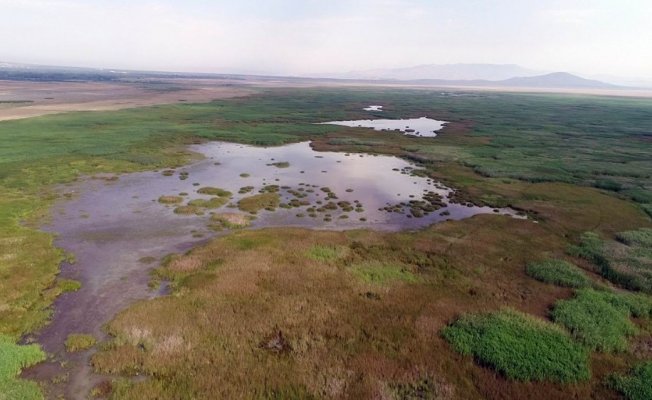 Akşehir Gölü kurumaktan kurtulacak