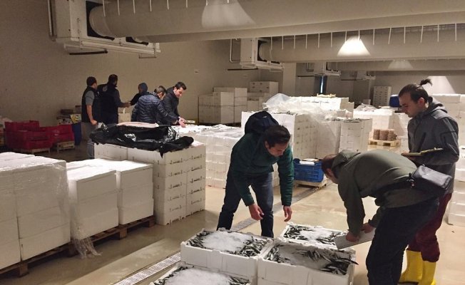 Balık halindeki denetimlerde 22 ton balığa el konuldu
