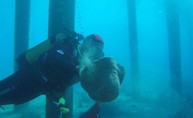 Belediye dalgıçları Kumbahçe iskele ve liman çevresini temizledi
