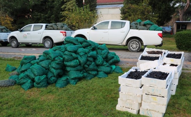 Çanakkale’de kaçak su ürünleri operasyonu