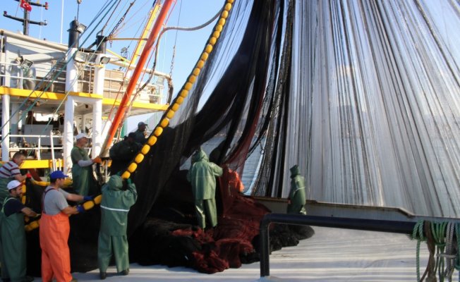 Giresun’da Balıkçı Gemilerinde Hijyen Denetimi