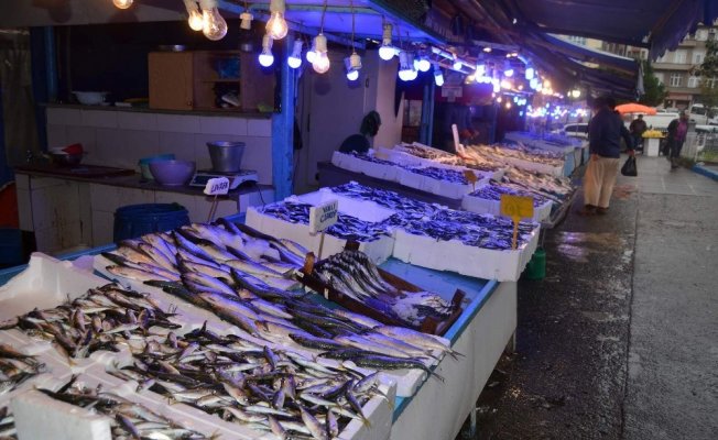 Karadeniz’de avlanma rakamları her yıl düşüyor