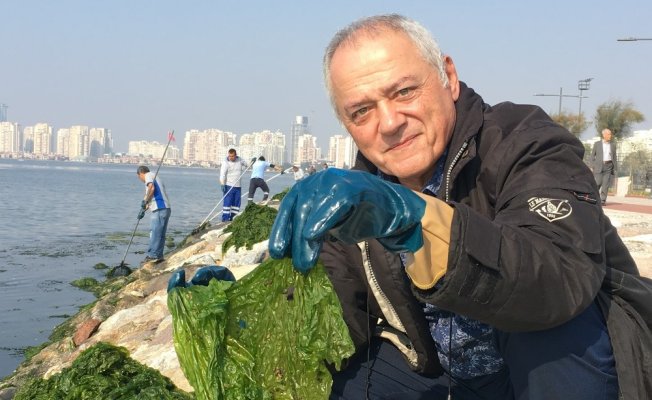 O profesör Körfez’deki zehirlenme uyarısına açıklık getirdi