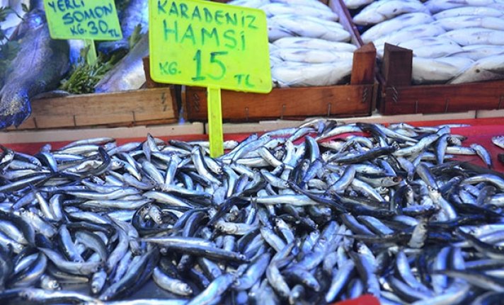 Türk Bilim İnsanları Gürcistan Sularındaki Hamsi Varlığını Araştıracak