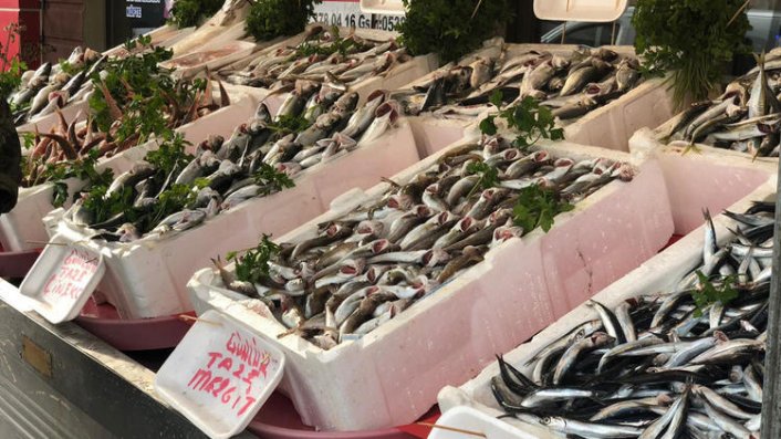 Hamsinin kilosu tavuğun fiyatını geçti!