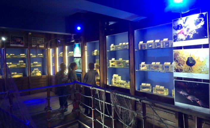 Deniz Biyolojisi Müzesi’ni 5 yılda 25 bin kişi ziyaret etti