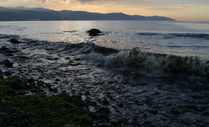 Trabzon&#039;da Deniz Kadastro önerisi!