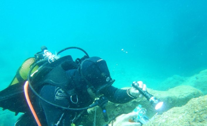 Antalya’nın deniz biyoçeşitliliği inceleniyor