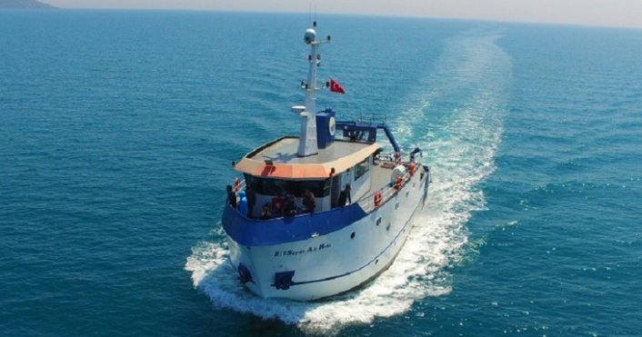 Karadeniz’deki yunus popülasyonu araştırılıyor