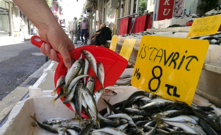 Ramazan bereketi, balık fiyatlarını düşürdü